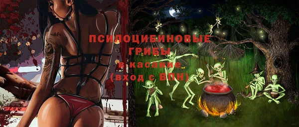 бошки Балахна