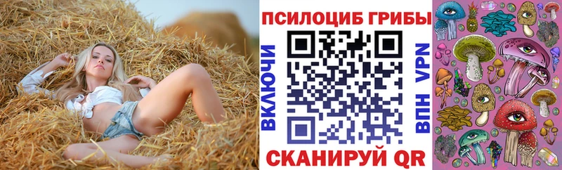 Псилоцибиновые грибы Psilocybe  Заозёрск 